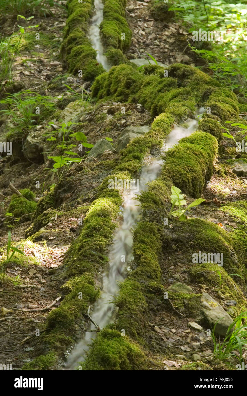 limestone groove near Wolfsbronn Franconia Stock Photo
