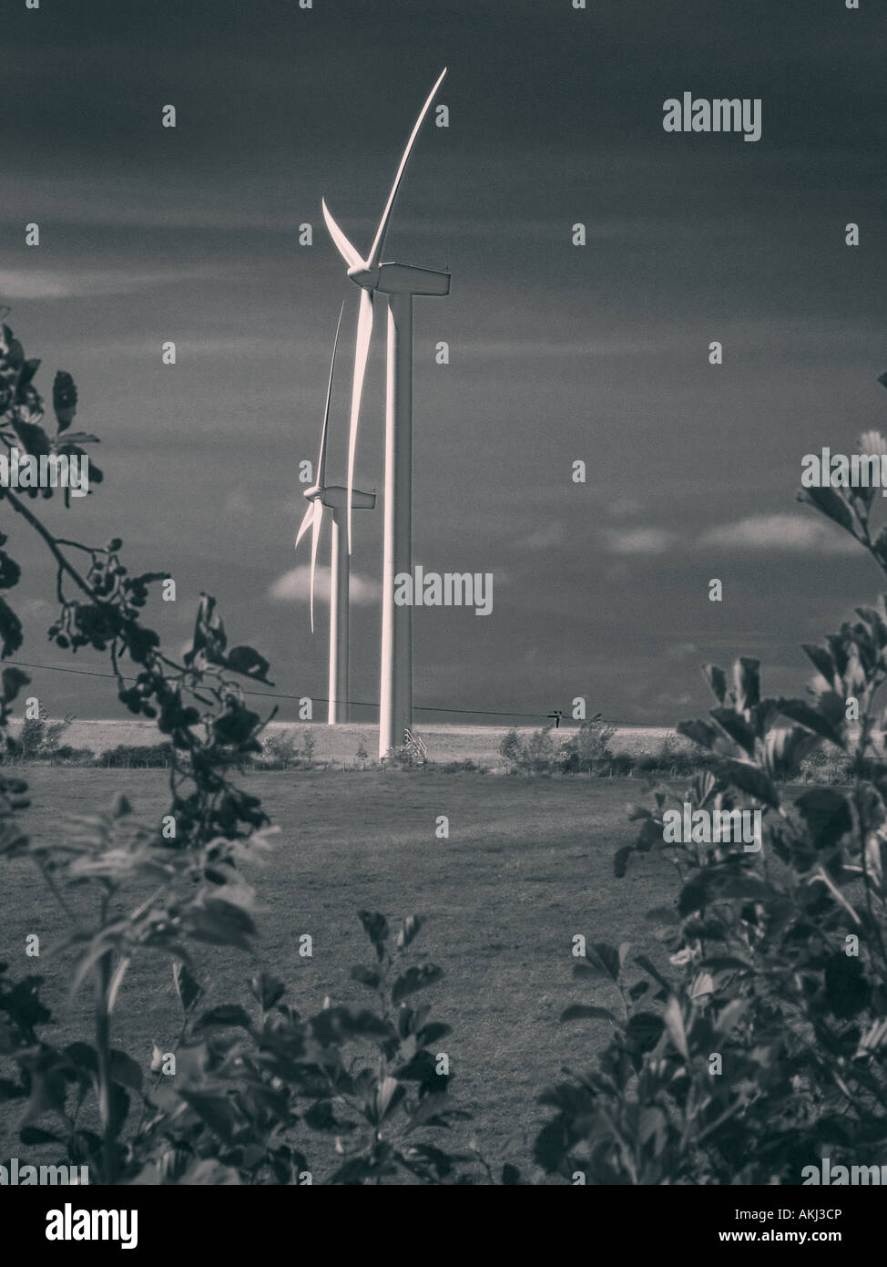 renewable energy landscape image of wind turbines Stock Photo - Alamy
