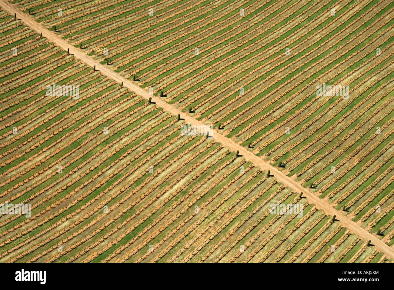 Aerial of agricultural farmland with dirt road USA Stock Photo