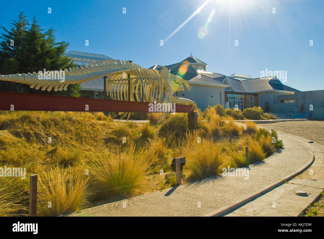 Ecocentro museum in Puerto Madryn, Argentina Stock Photo