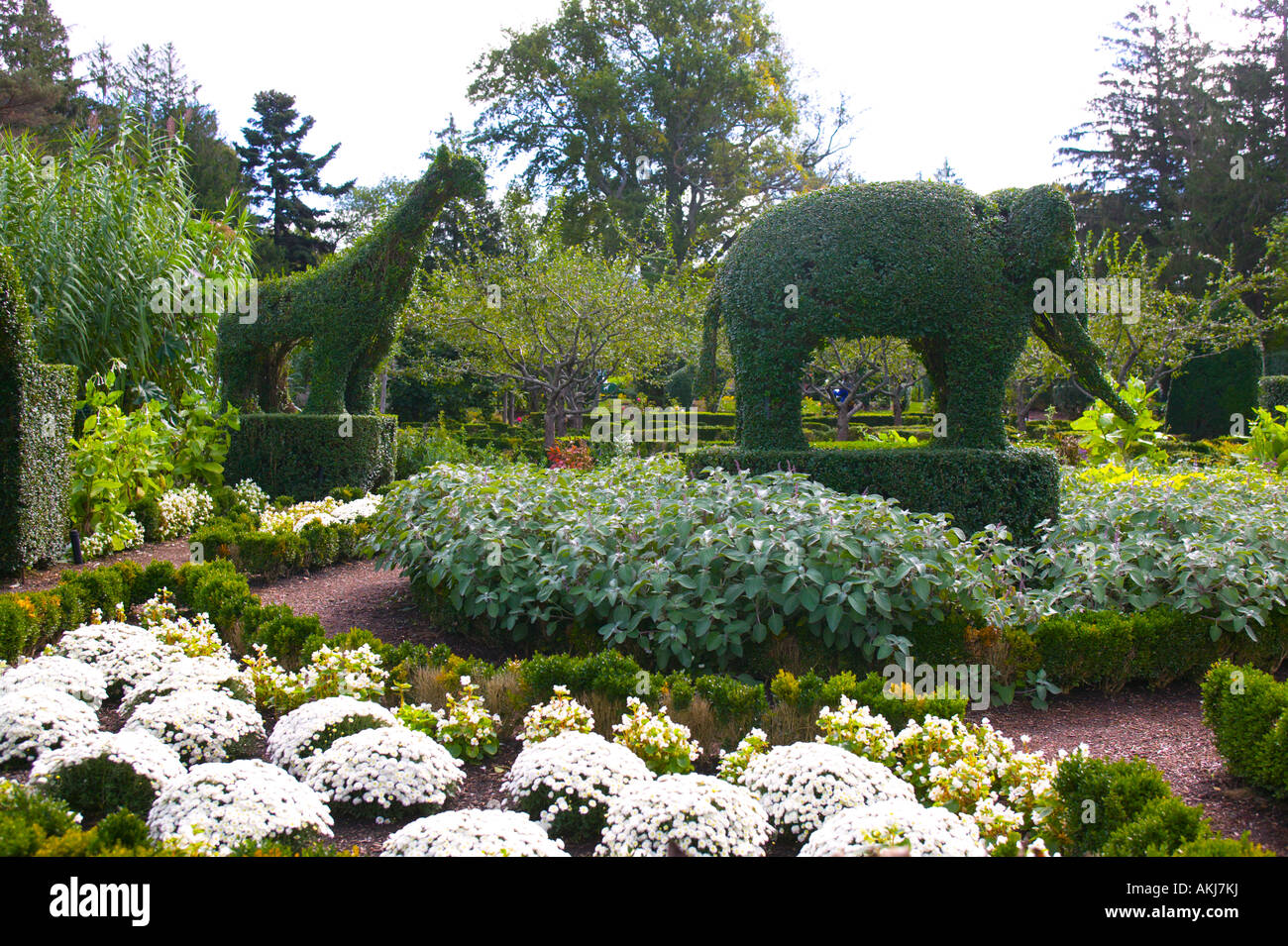 Green Animals Topiary Garden Portsmouth Rhode Island Stock Photo