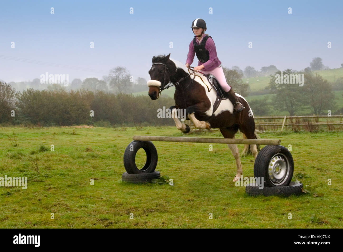Horse jumping hires stock photography and images Alamy
