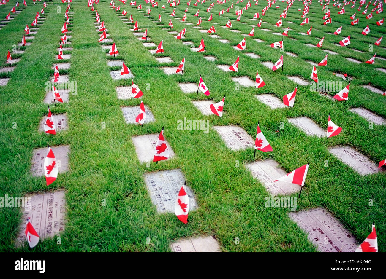 Canadian Flags on the graves of fallen soldiers The Last Post Cemetery in Pointe Claire Quebec Canada Stock Photo