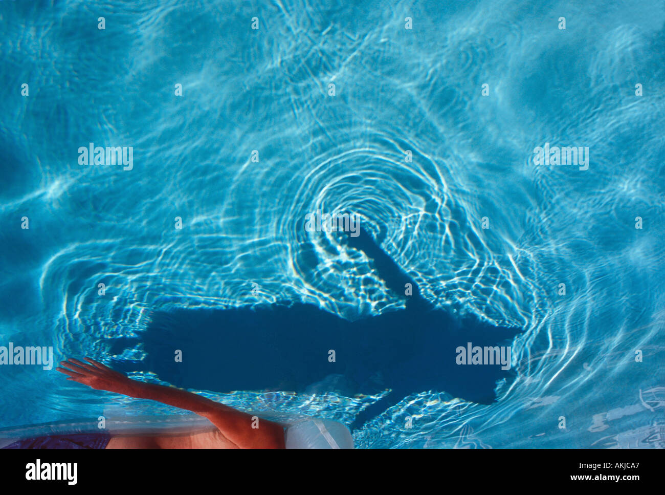 Floating in Swimming Pool Stock Photo Alamy