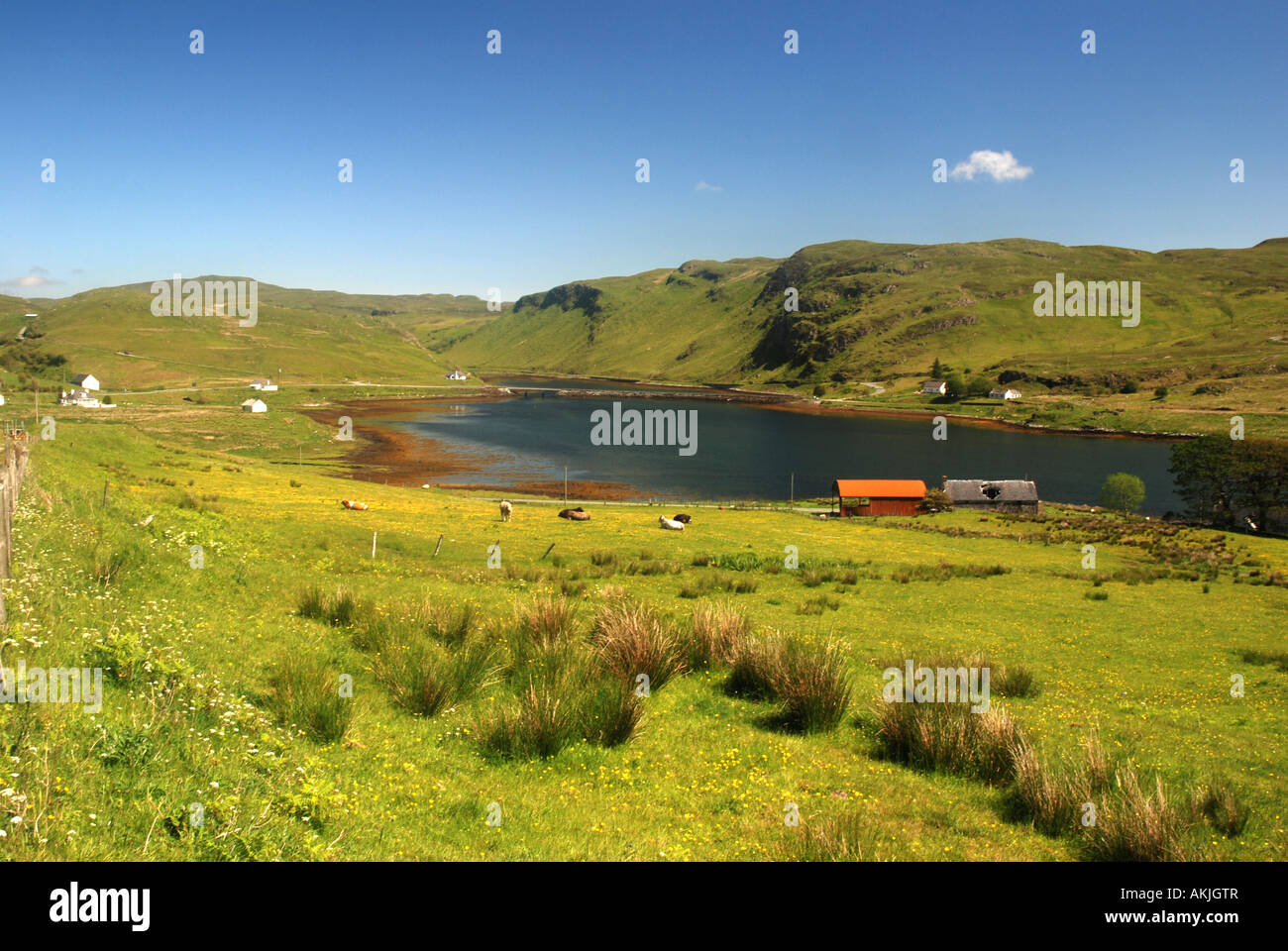 Farms and Loch Bracadale island of skye inner hebrides scotland Stock Photo