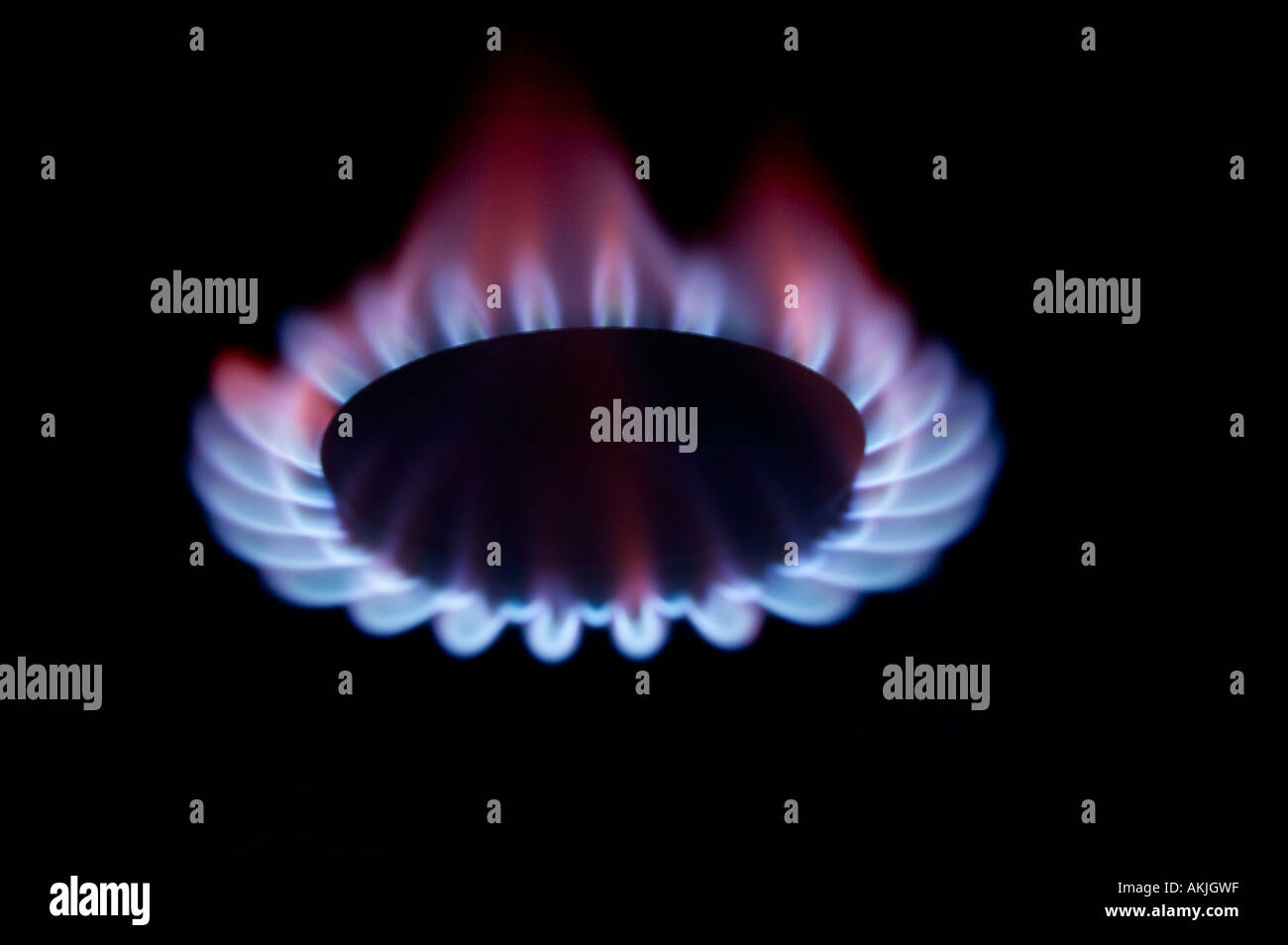 gas burner with flame Stock Photo Alamy