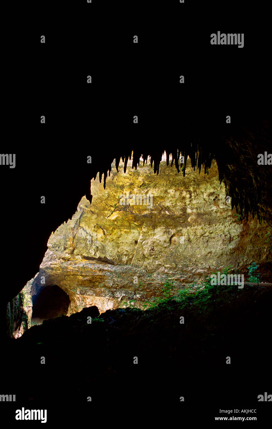 Clara Cave, limestone cave, limestone caves, cave, caves, cave system, calcarous deposits, Camuy River Cave Park, Puerto Rico, West Indies Stock Photo