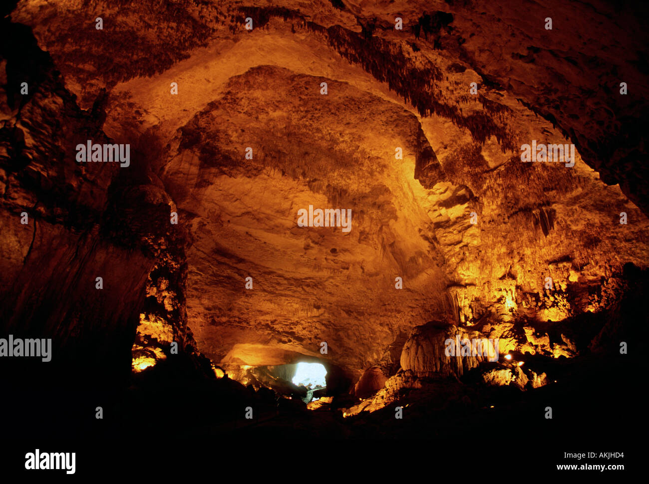 Clara Cave, limestone cave, limestone caves, cave, caves, cave system, calcarous deposits, Camuy River Cave Park, Puerto Rico, West Indies Stock Photo