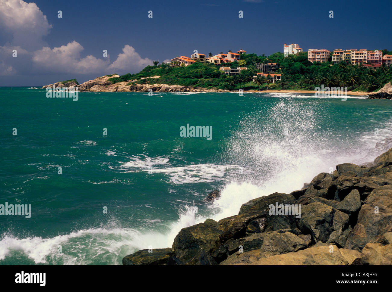 hahahahahahahaha I am hiding! - Picture of Humacao, Puerto Rico