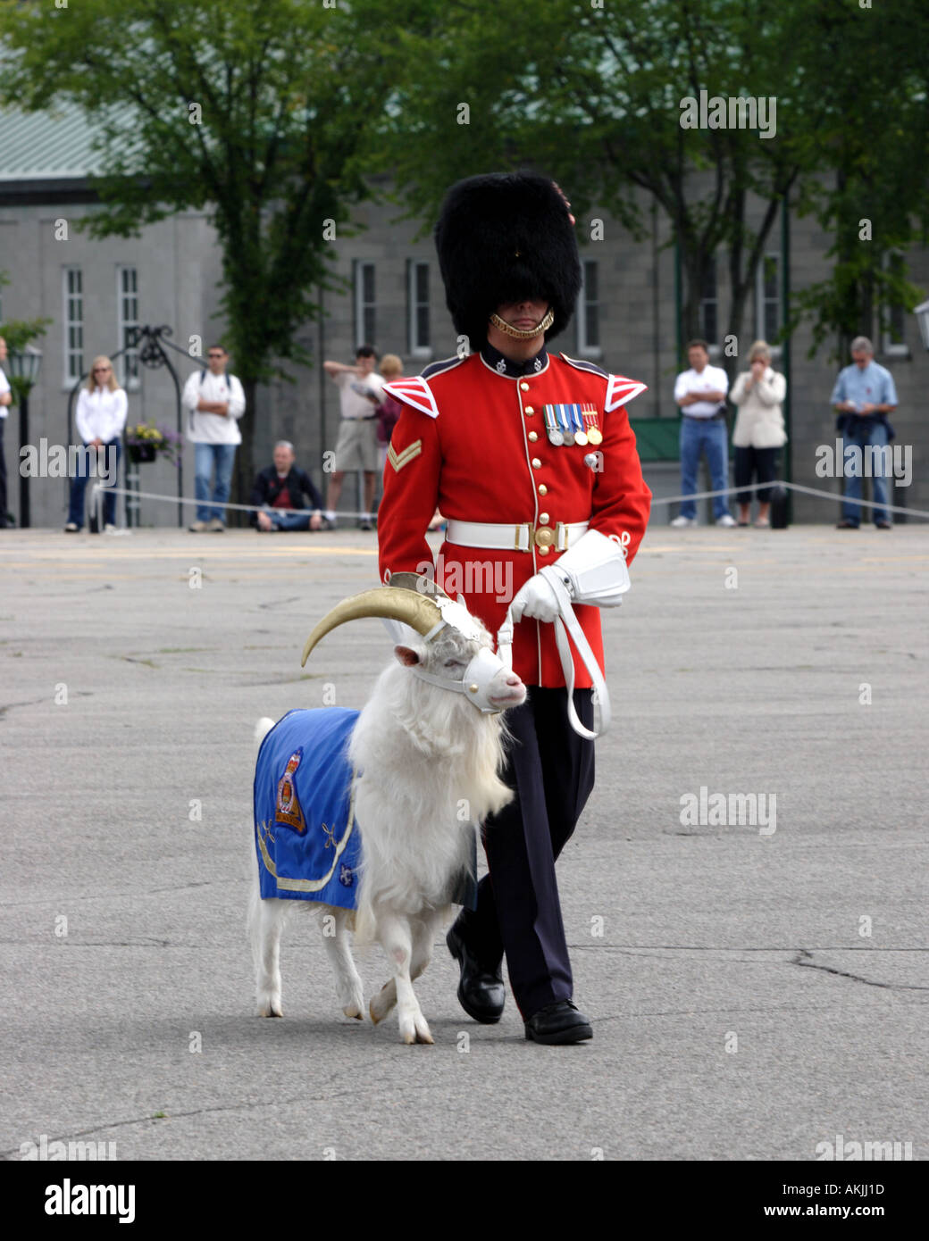 Changing of the Guard at the Citadel in Quebec City Canada with regimental symbol goat Stock Photo