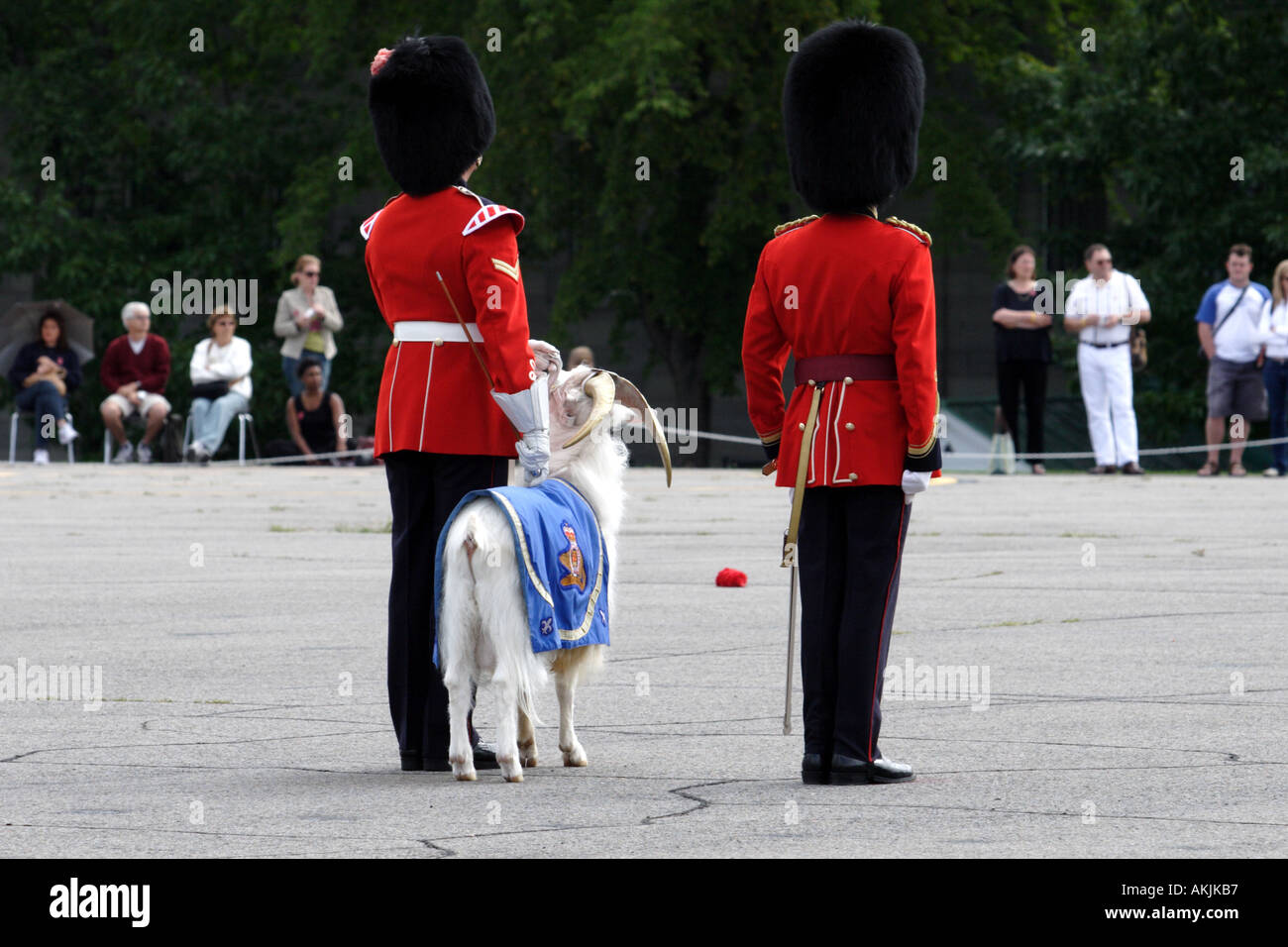 Soldier goat hires stock photography and images Alamy
