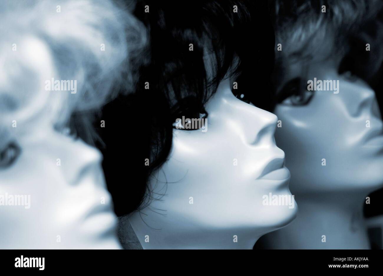 Mannequin heads with wigs Stock Photo - Alamy