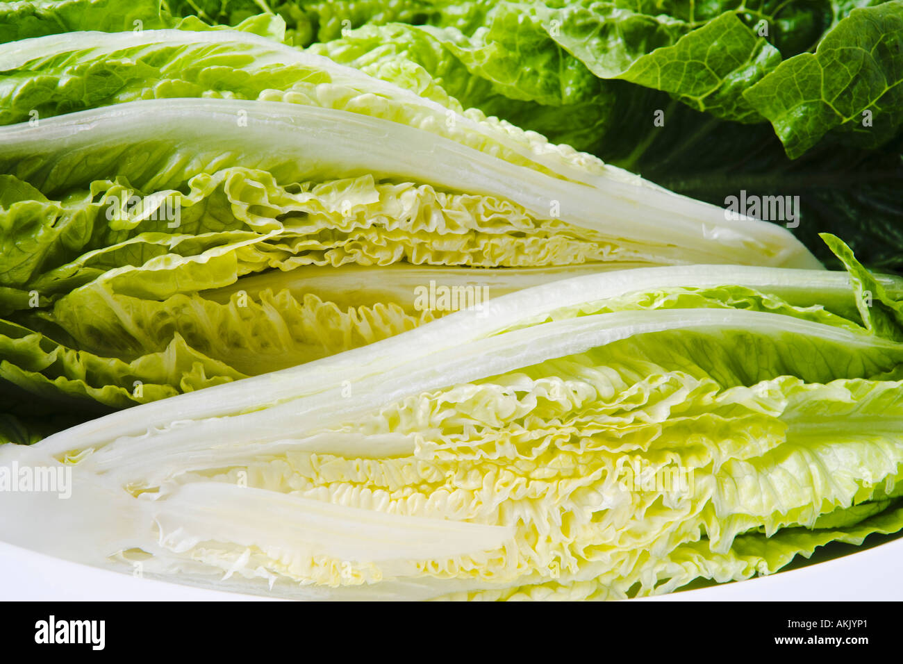 Cross sections of romaine lettuce heads Stock Photo