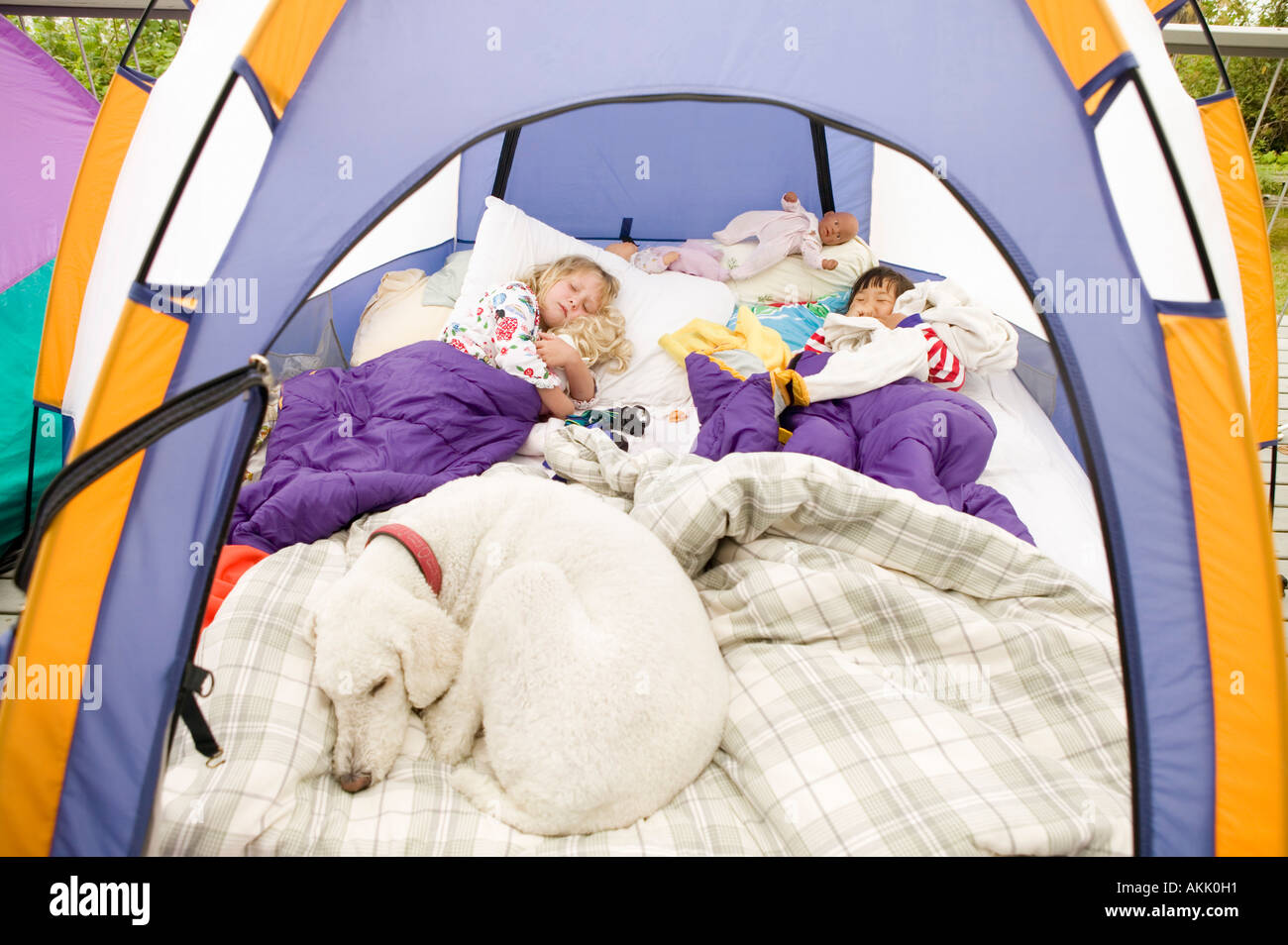 Young girls sleeping in tent with dog Stock Photo