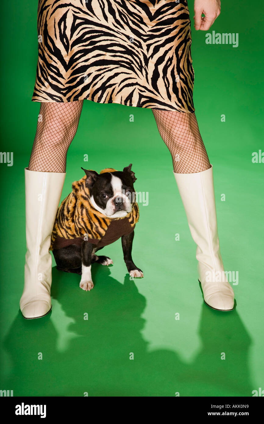 Low section of woman in animal print with dog Stock Photo