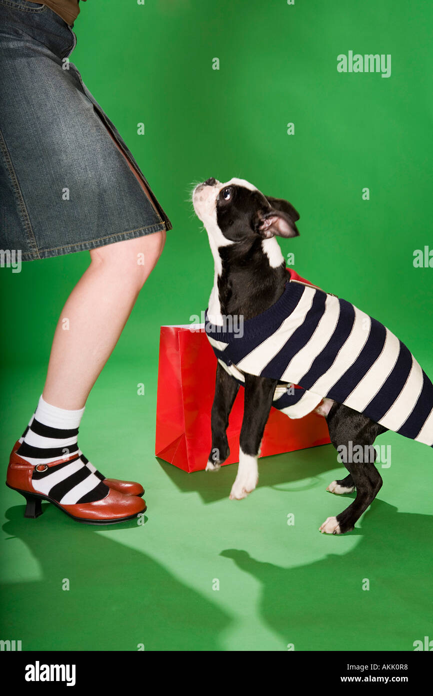 Low section woman dancing hi res stock photography and images Alamy