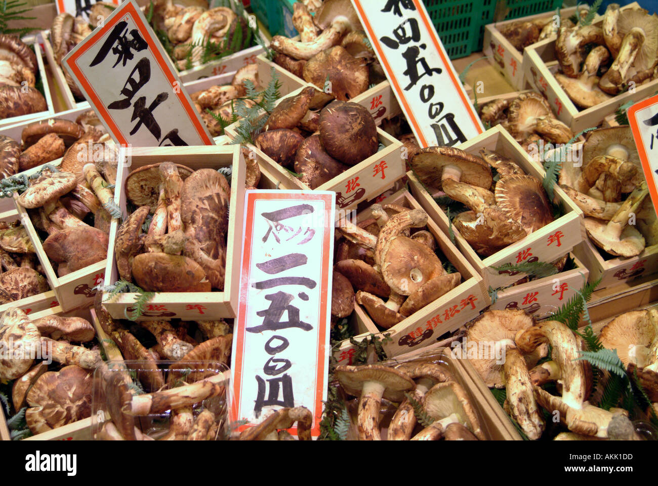 Matsutake mushrooms on display in Nishiki street market Kyoto Japan