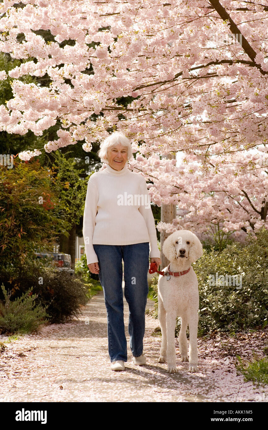 Portrait of senior woman walking dog Stock Photo