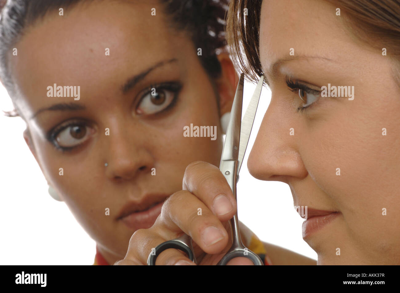 Woman Having Her Hair Cut Stock Photo Alamy Woman Having Her Hair Cut Stock Photo Alamy