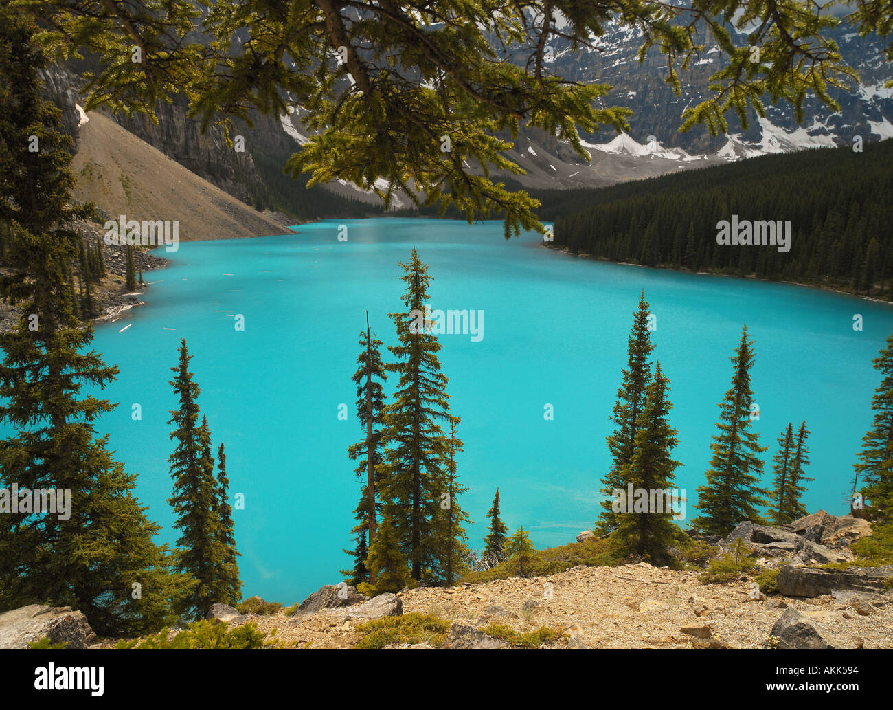 Bright blue glacial meltwater of Lake Moraine in Banff National Park in ...