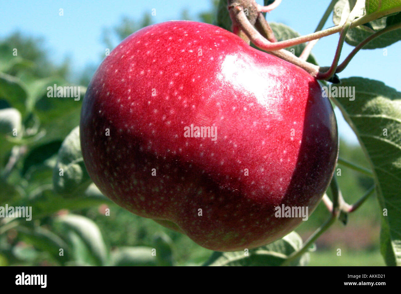 Time f hires stock photography and images Alamy