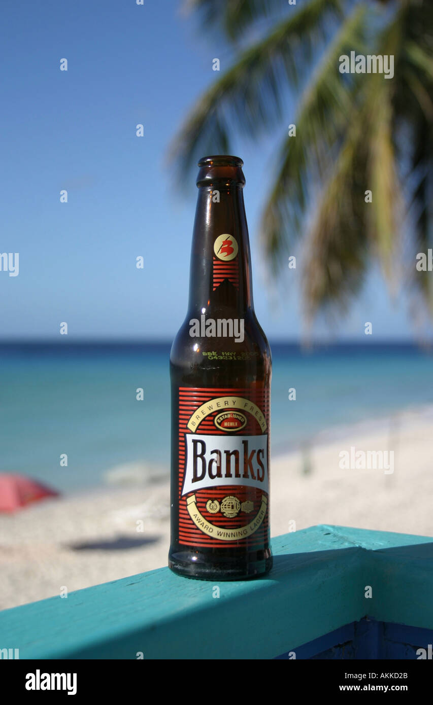 Banks beer bottle Barbados Stock Photo Alamy