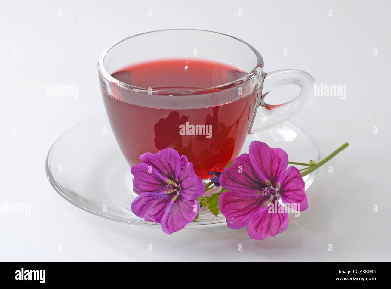 Blue Mallow High Mallow Malva Sylvestris Cup Of Tea And Flowers Stock Photo Alamy