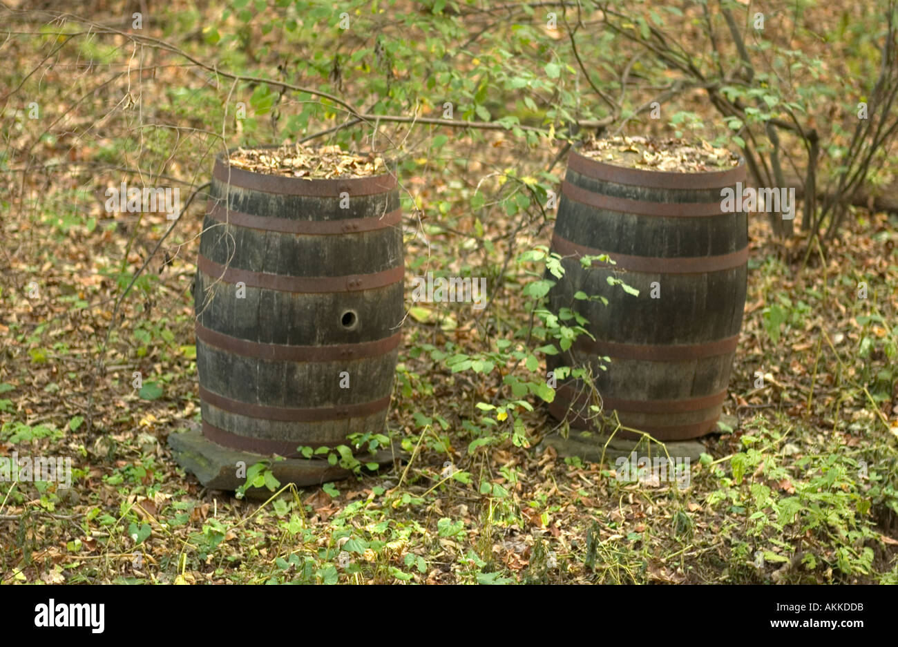 Moonshine Still In Rame, Alambicco In Rame Puro Per Whisky, Oli Essenziali Moonshine, Con Termometro, Kit Fai Da Te, Kit Per La Produzione Di Birra Domestica - Foto 4