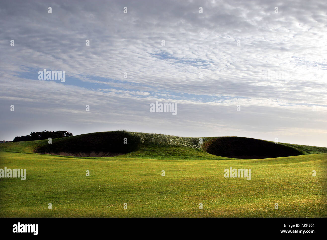 Spectacles bunkers on the 14th fairway at the Carnoustie Championship Course Scotland UK Stock Photo