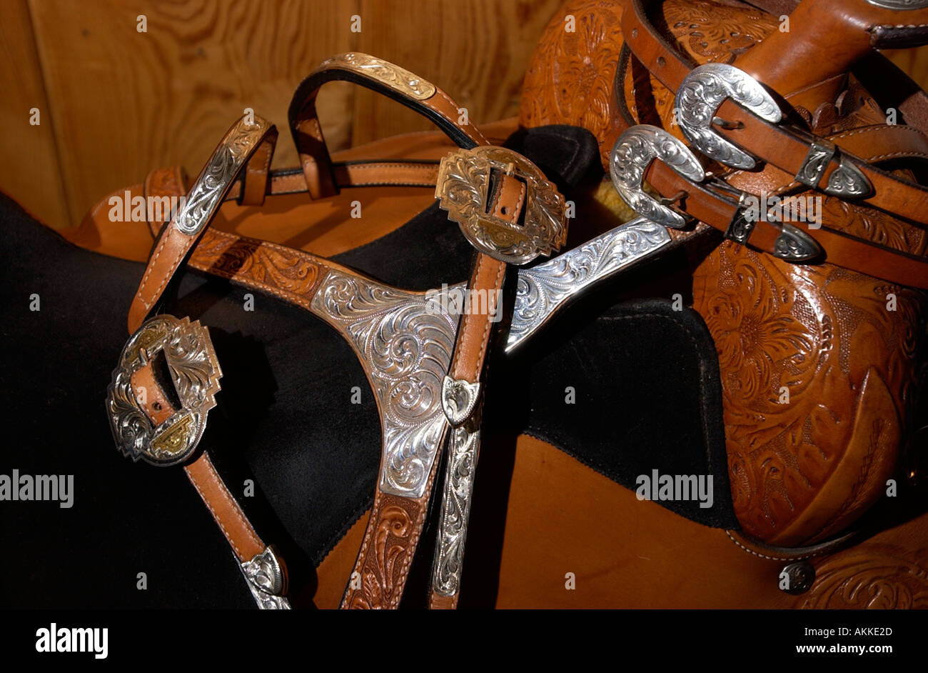 Detail of a leather horse saddle Stock Photo Alamy