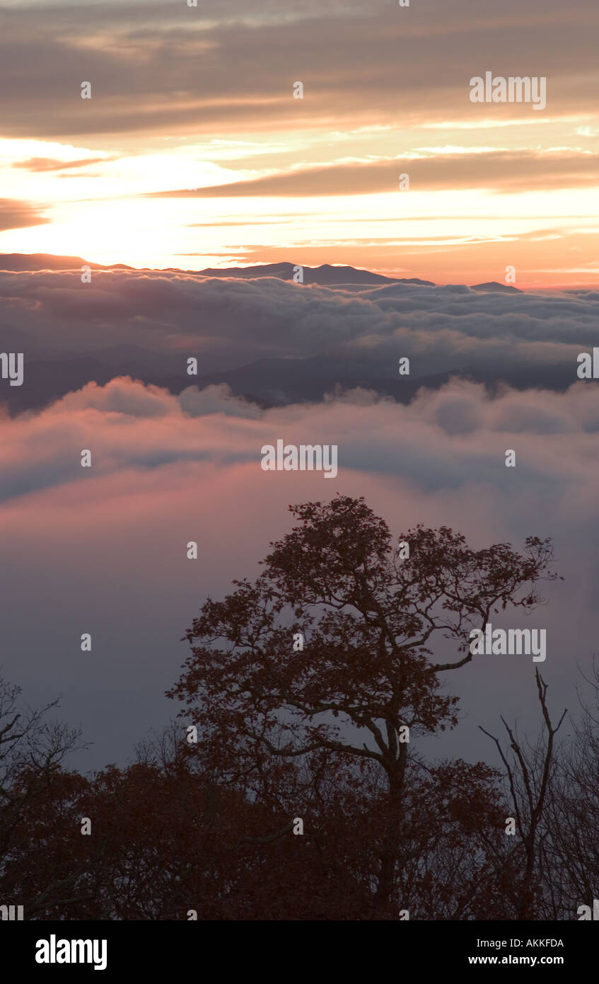 Sunset on Blue Ridge Parkway near Smokey Mountain National Park with much fog over the mountains and valleys  Stock Photo