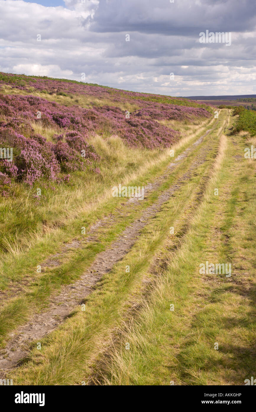 Big Moor Derbyshire High Resolution Stock Photography and Images Alamy