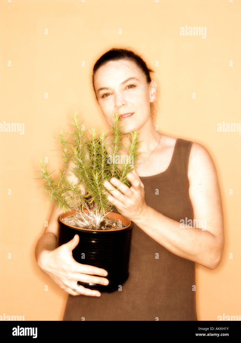 Woman with Rosemary plant (Rosmarinus officinalis) Stock Photo