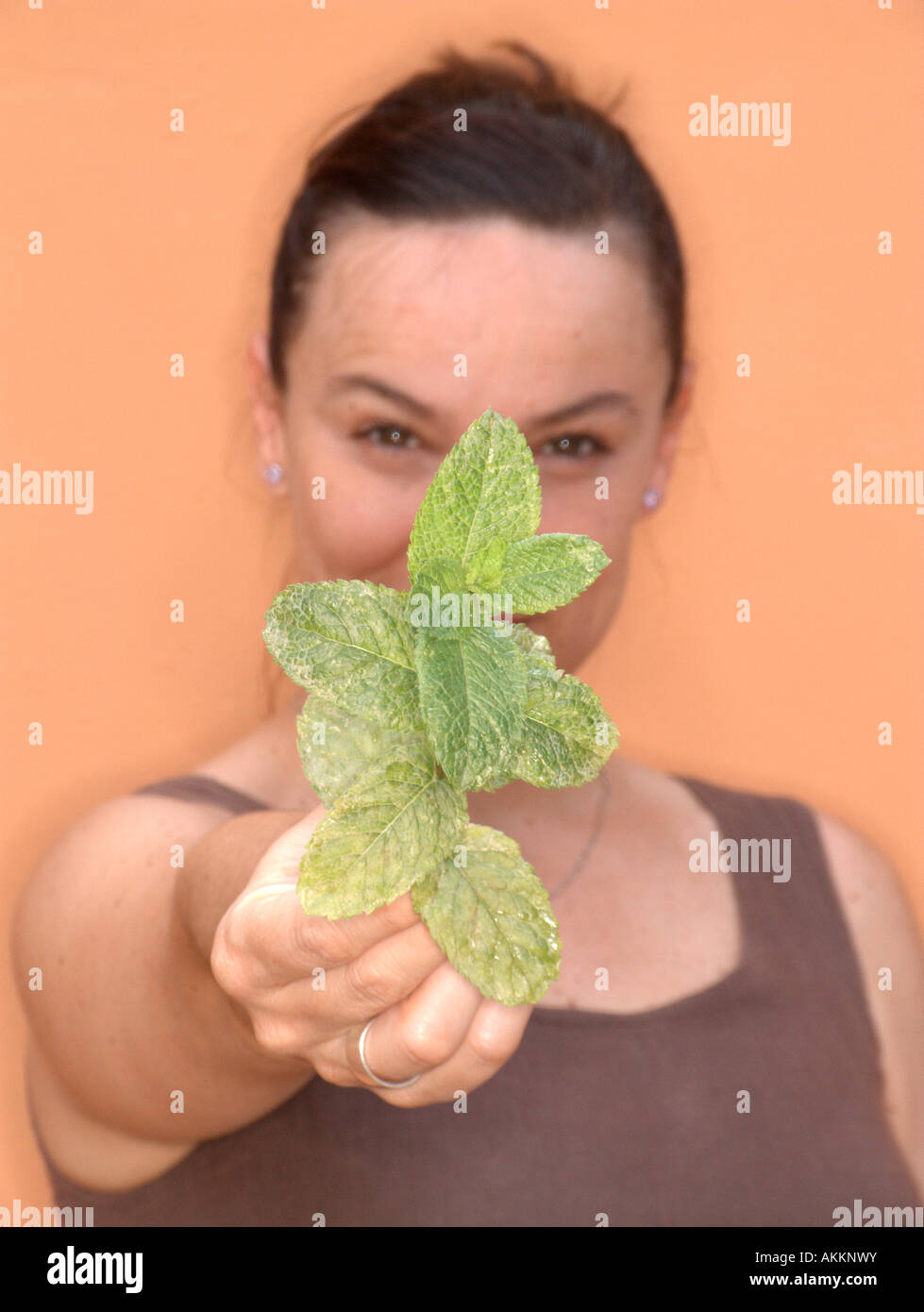 Woman showing a branch of Mint (Mentha) plant. Stock Photo