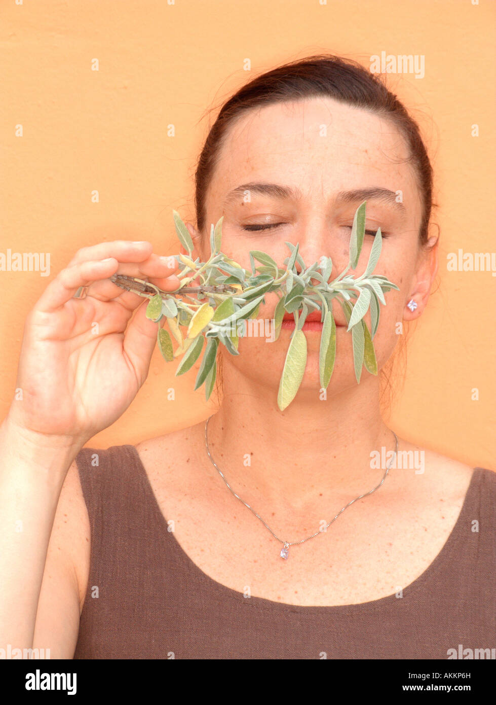 Woman smelling a Salvia plant branch (Salvia Officinalis Stock Photo