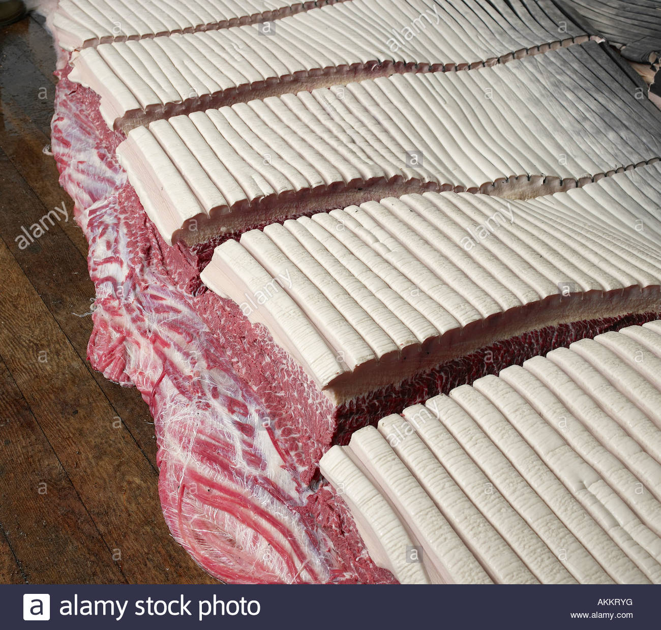 Whale Meat Stock Photos & Whale Meat Stock Images Alamy