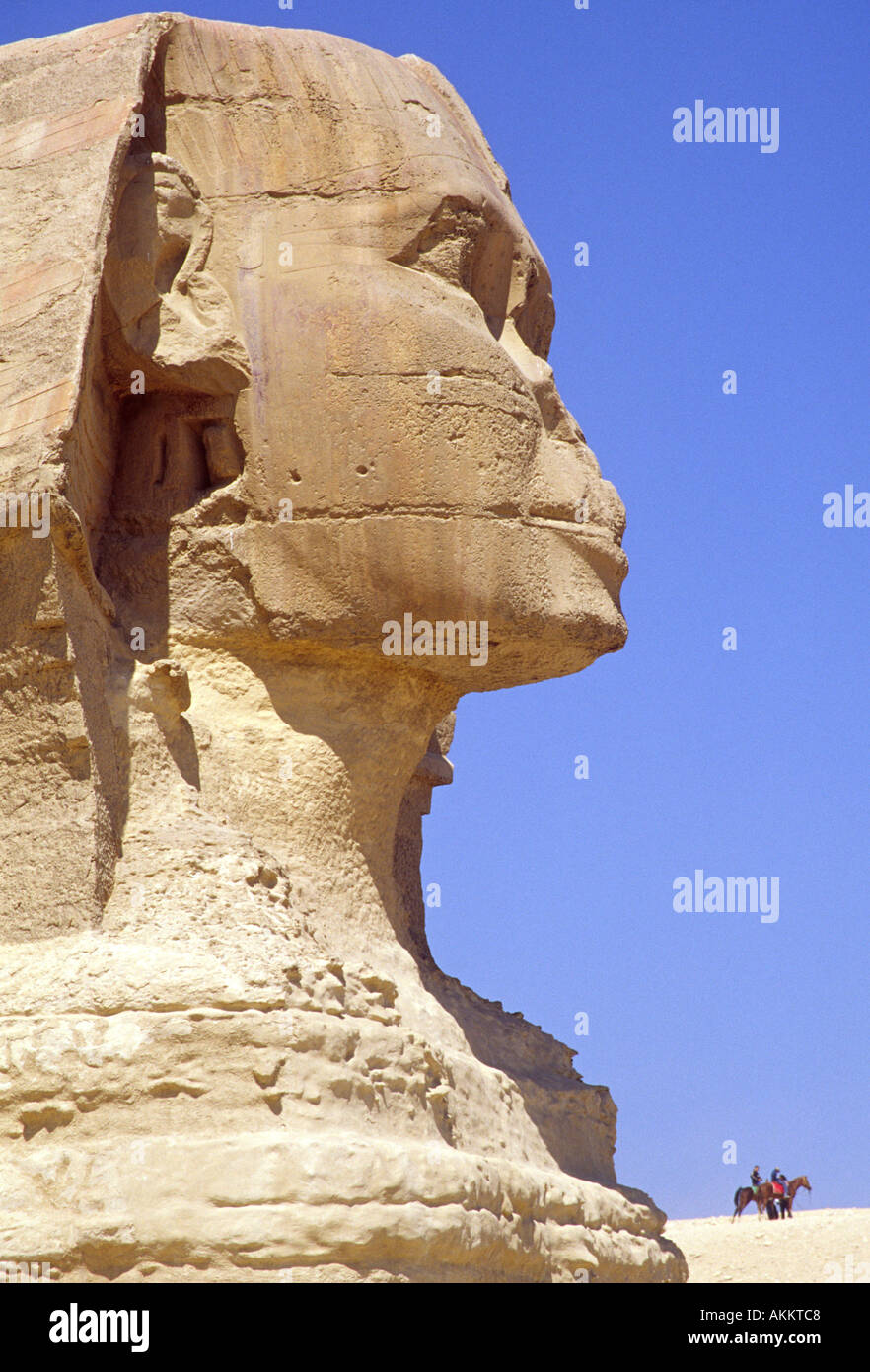 The Great Sphinx of Giza, Cairo, Egypt Stock Photo Alamy