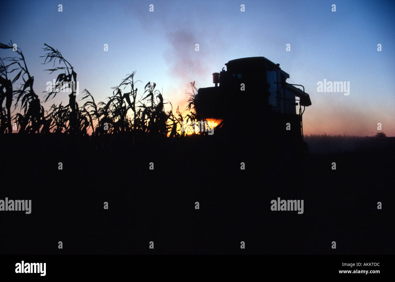 Combine harvesting corn at sunset near Manheim Pennsylvania USA Stock Photo