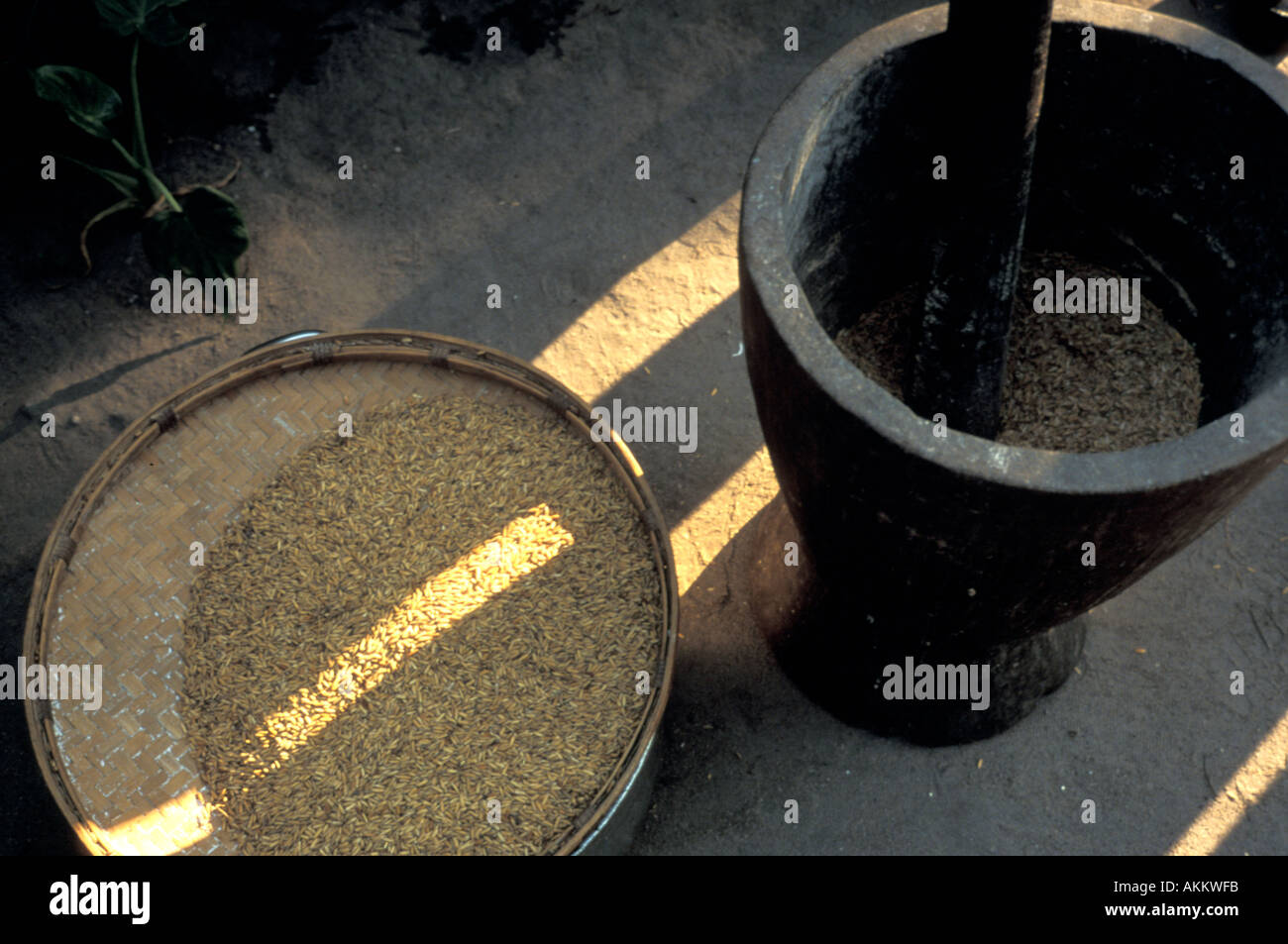 Mortar and pestle used in Madagascar and other places in Africa to