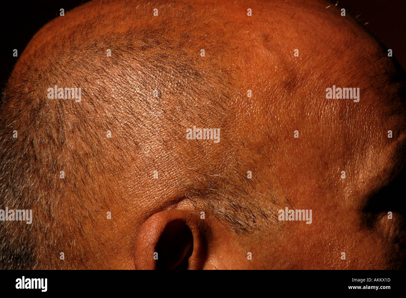 Back of black mans head hi-res stock photography and images - Alamy