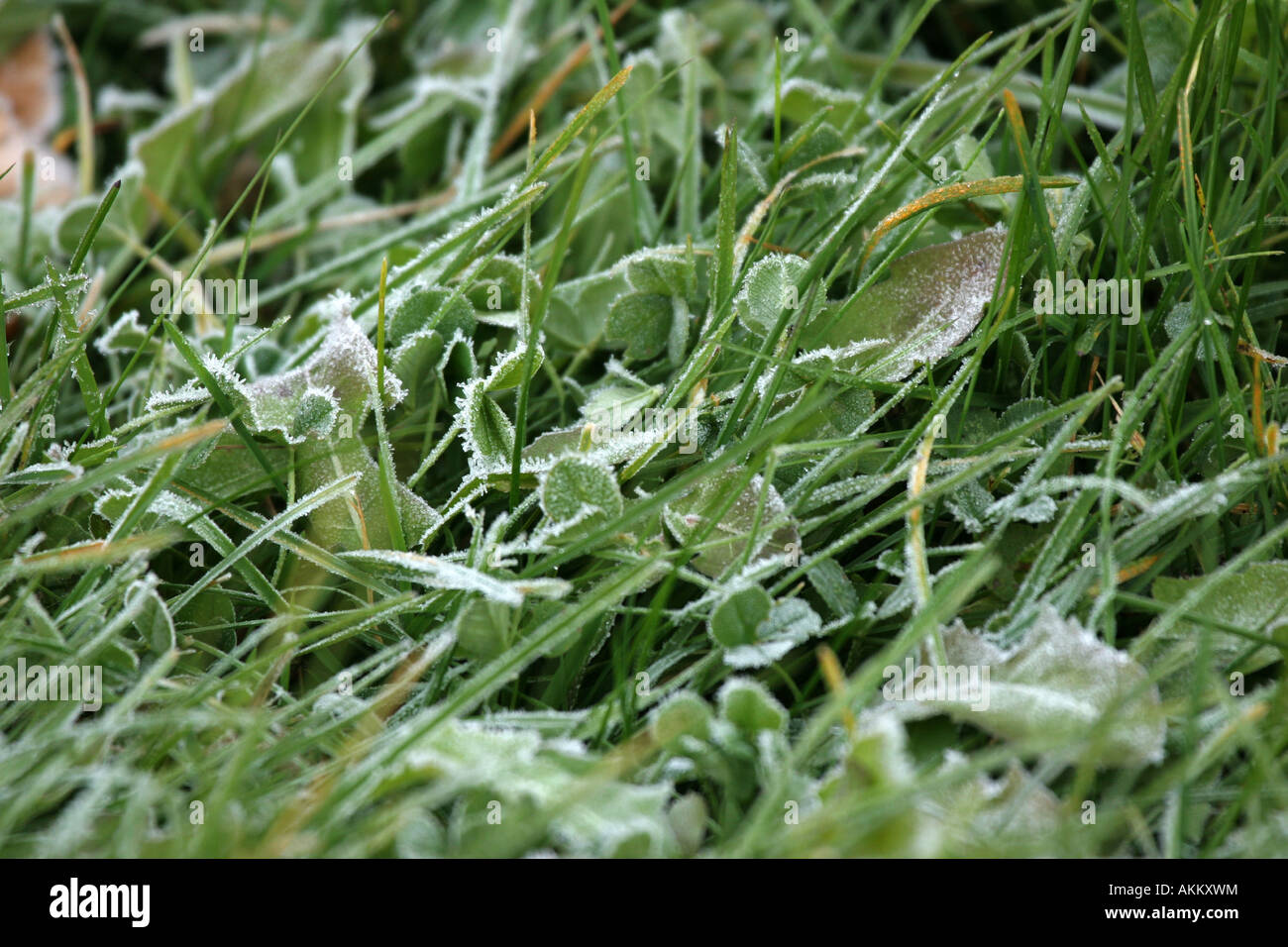 Ice crystals in atmosphere hi res stock photography and images Alamy Ice crystals in atmosphere hi res stock photography and images Alamy