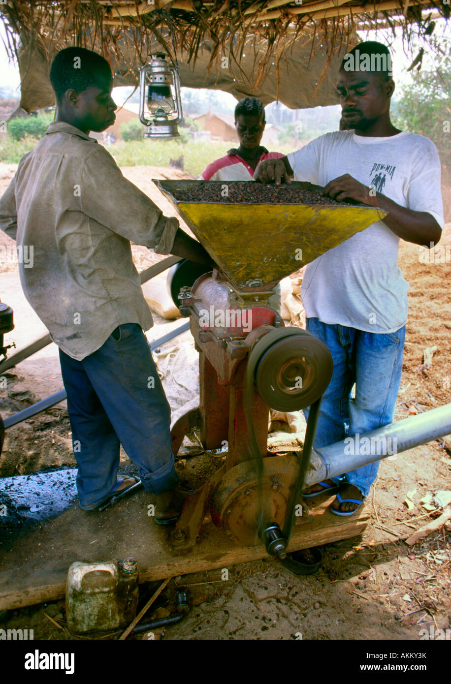 Workers tend to a machine that removes the husk on cocoa beans in Cote d'Ivoire Stock Photo