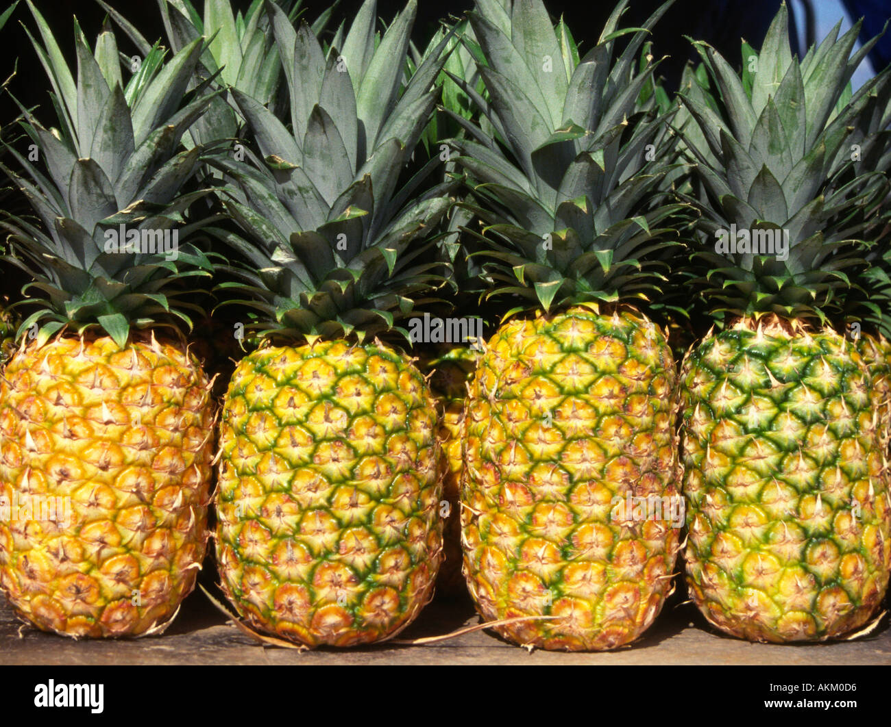 pineapples for sale at a stand in Oahu, Hawaii Stock Photo Alamy
