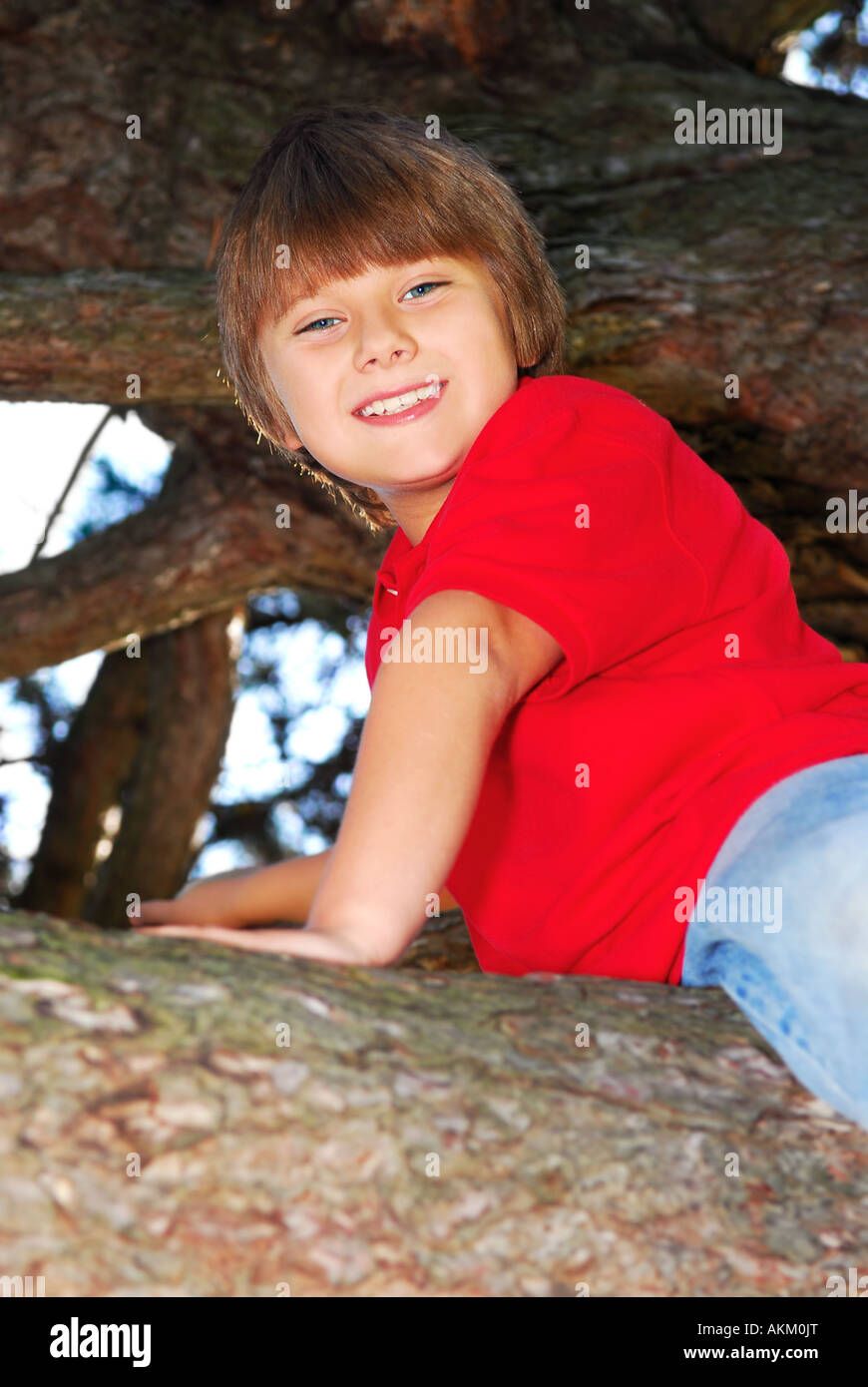 Young boy sitting on a tree branch in summer park Stock Photo - Alamy