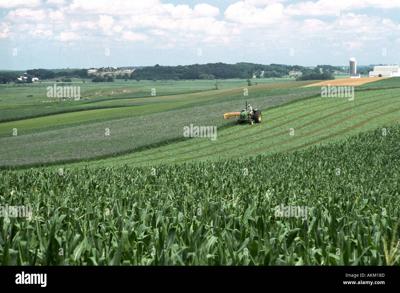 Wisconsin hay field of clover being harvested for feed for dairy cows