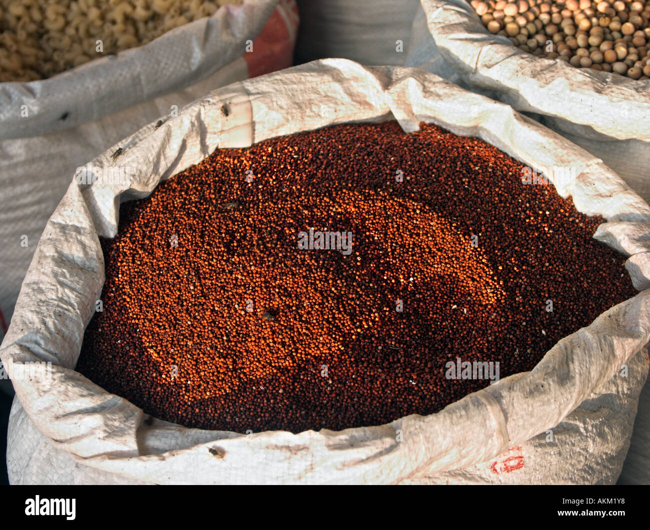Mustard seed for sale Chennai Madras India Stock Photo Alamy
