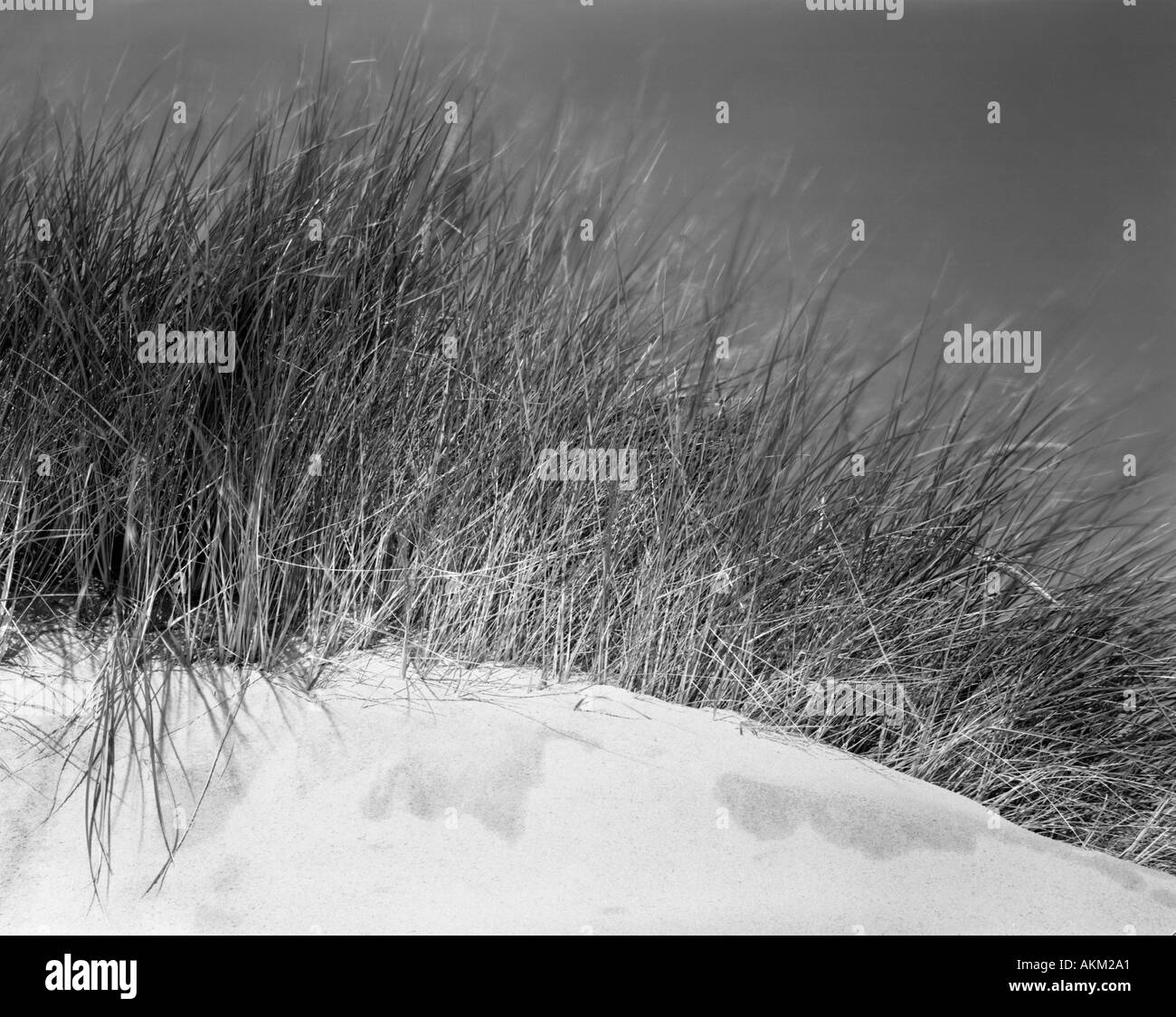 Sand dunes southport beach Black and White Stock Photos & Images - Alamy