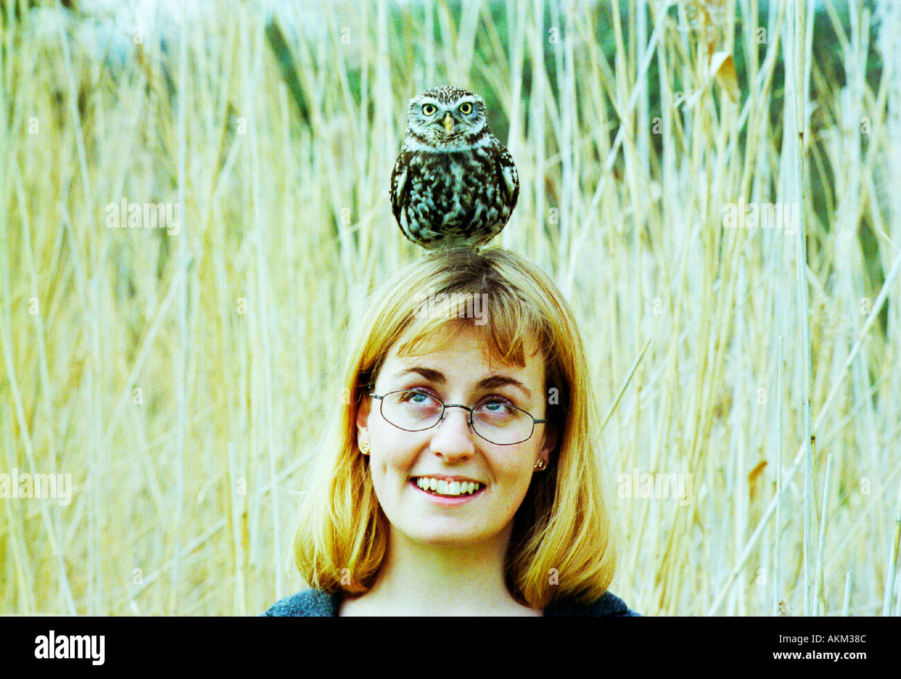 Rare Little Owl meets female scientist who is wearing large glasses and a big smile. Stock Photo