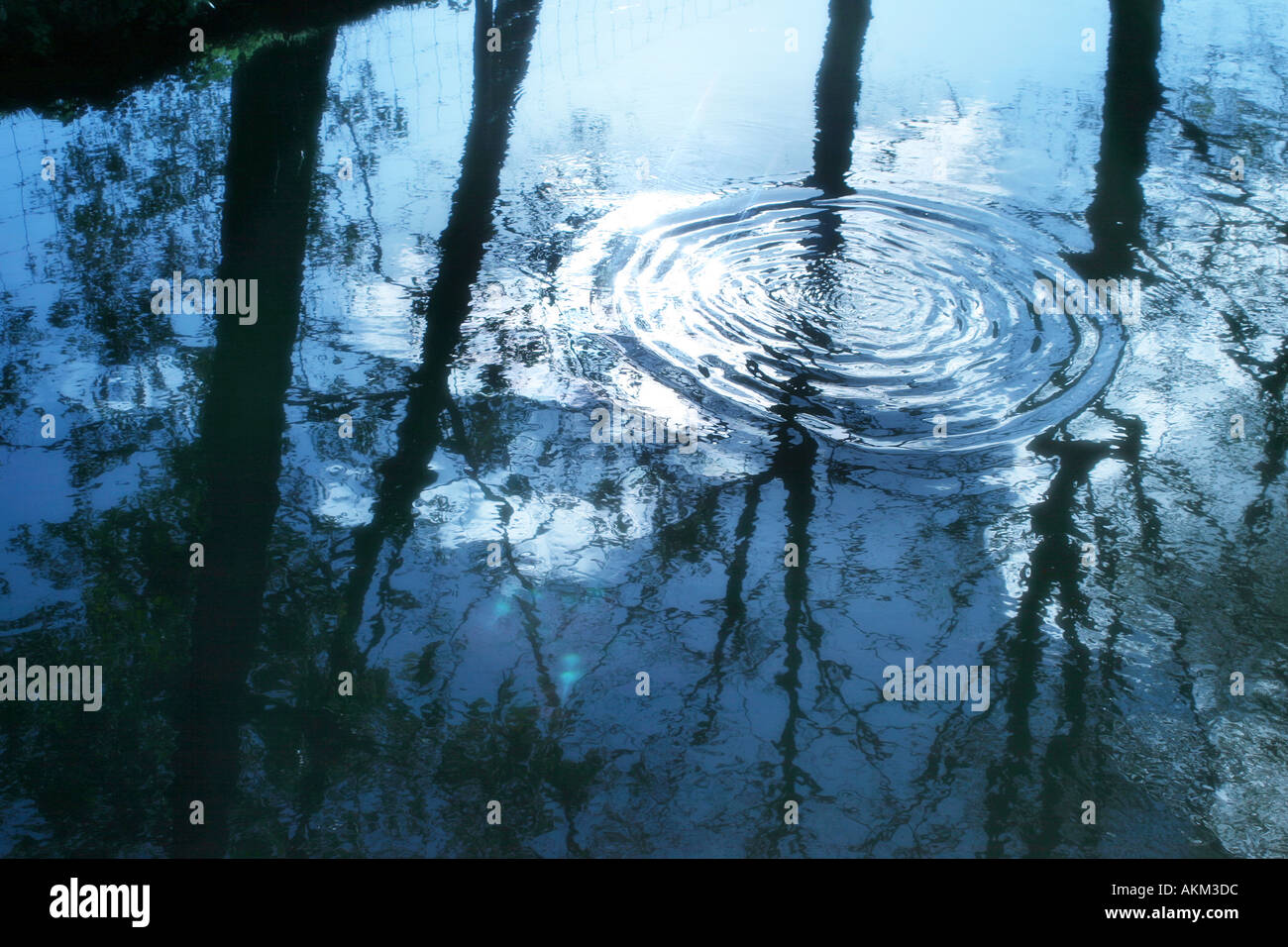 Still water trees reflection hi-res stock photography and images - Alamy