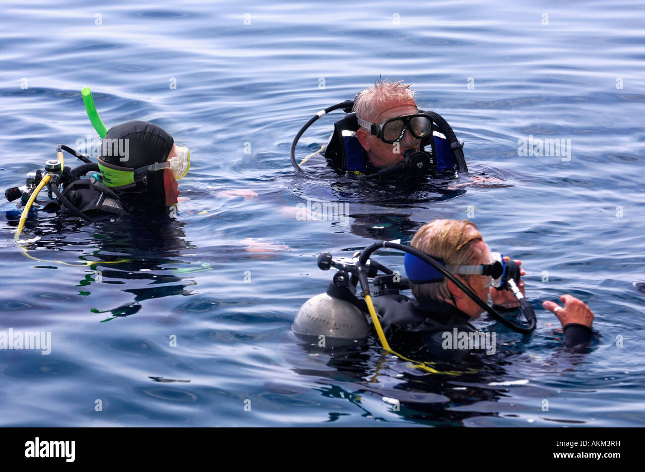 Group of Viking senior scuba divers in the sea water Stock Photo